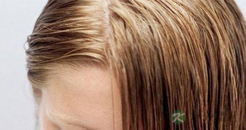 脱发头皮护理 脱发头皮护理