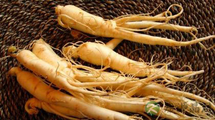 人参泡酒配方大公开 人参泡酒配方大公开