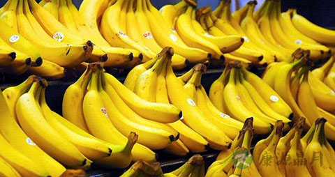 很严重的脱发怎么办