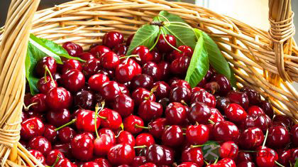 贫血的人吃什么补血最快