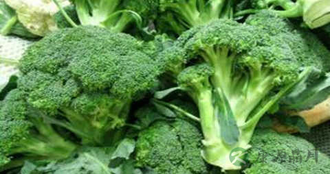 吃什么有益牙齿 吃什么有益牙齿