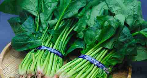 脂溢性脱发饮食注意