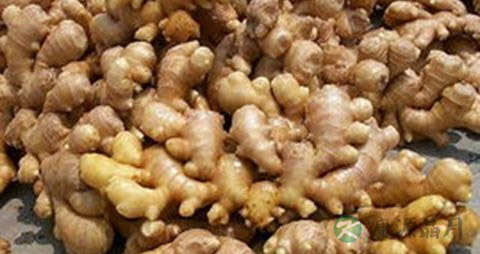 中医治疗脱发有效吗 中医治疗脱发有效吗