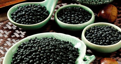 治疗脱发食物 治疗脱发食物