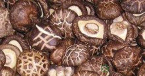 吃什么稳固牙齿