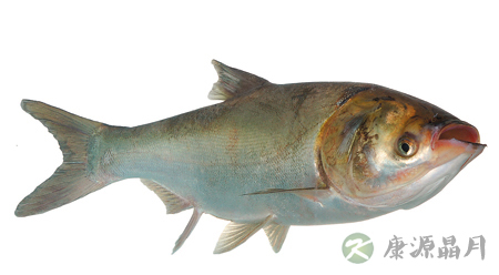 秋冬之交　多吃温热食物防凉御寒