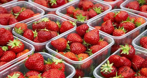 血压高吃什么保健品好