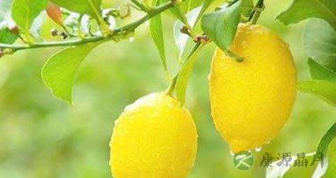 什么东西吃了生发