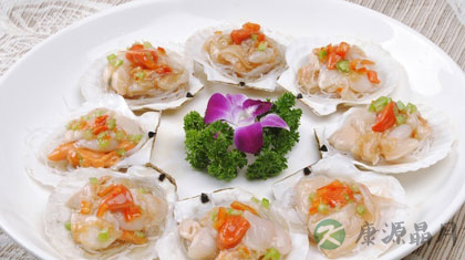 扇贝的家常做法