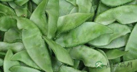 肾虚型脱发的症状