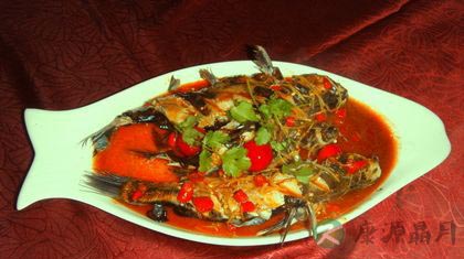 推荐5款红烧鱼的家常做法