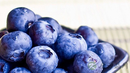 养生保健首选14种超级食物