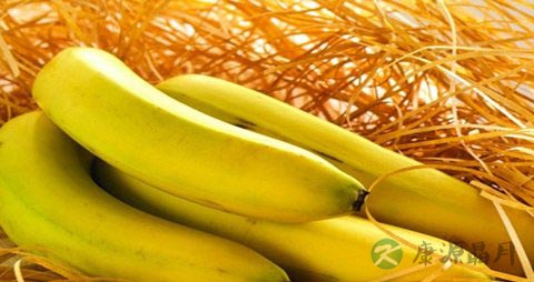 眼睛干涩吃什么好 眼睛干涩吃什么好