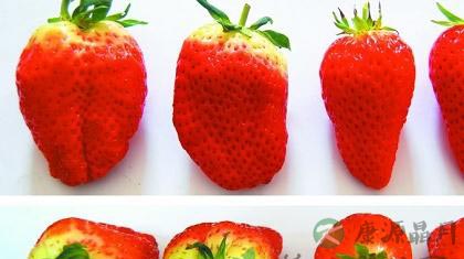 水果知识:健康水果与有害水果最简单的区分方法 水果知识:健康水果与有害水果最简单的区分方法