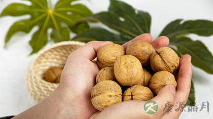 冬季最省钱的“滋补”食物