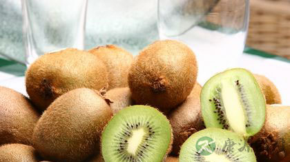 上火牙龈肿吃什么 上火牙龈肿吃什么