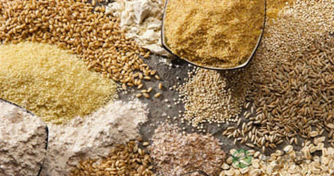 男孩发育期间吃什么好 男孩发育期间吃什么好