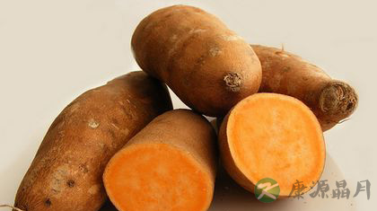 小小红薯营养高 小小红薯营养高