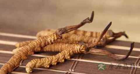 冬虫夏草怎么泡酒 冬虫夏草怎么泡酒