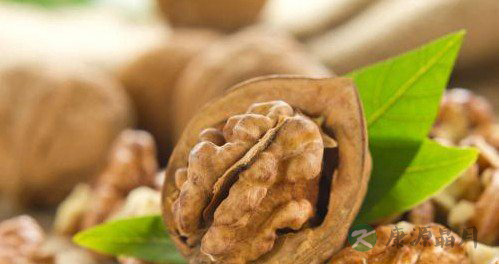 核桃怎么吃才能发挥出当中的营养