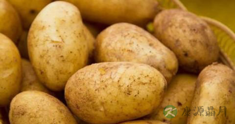 土豆怎样保存不发芽 放个苹果即可 土豆怎样保存不发芽 放个苹果即可