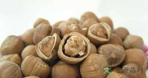 孕妇能吃榛子吗 孕妇能吃榛子吗