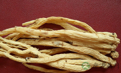 党参乃为平民人参