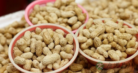 月经来之前吃什么 月经来之前吃什么