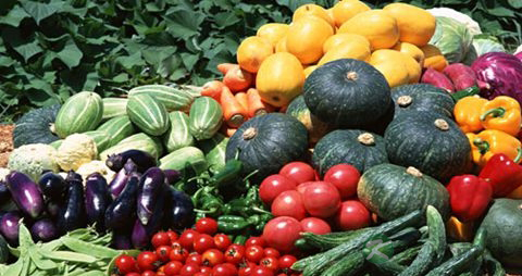 吃什么促进骨骼生长 吃什么促进骨骼生长