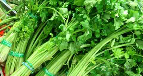 小孩吃什么增强抵抗力