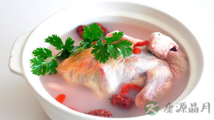 鸽子汤的四种详细做法