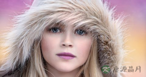 分享12种虾的营养做法