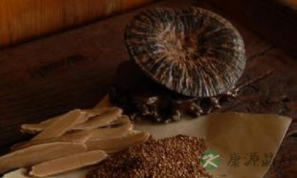 灵芝和灵芝孢子粉的区别