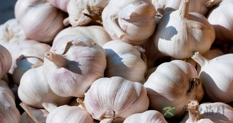 牙痛不能吃什么