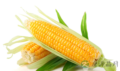 生活中的防癌食物