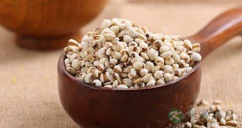 吃什么降血糖血脂