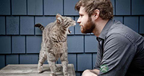 食物色不同　保健各有异