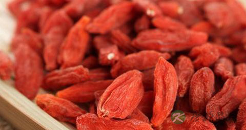 何首乌泡酒配方 何首乌泡酒配方