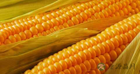 女性脂溢性脱发的原因 女性脂溢性脱发的原因