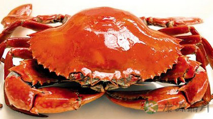 螃蟹不能和什么一起吃 螃蟹不能和什么一起吃