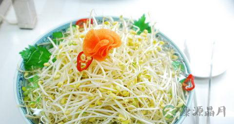 吃黄豆芽有什么好处