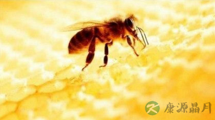 天然蜂胶怎么吃