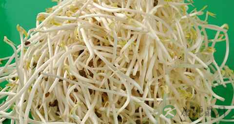 吃什么菜去湿气