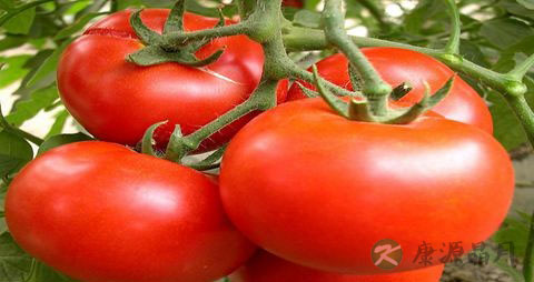 骨折后吃什么补品 骨折后吃什么补品