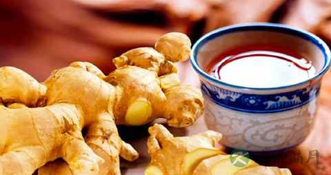 血栓吃什么食物