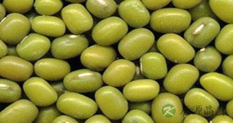 吃什么药固齿 吃什么药固齿