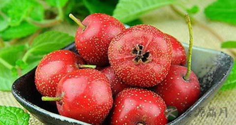 有止泻作用的食物 有止泻作用的食物