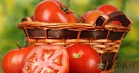 什么东西可以生津止渴