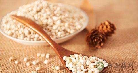 身上湿气重吃什么好