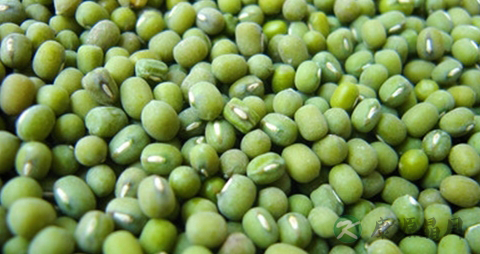 清热解毒的茶叶 清热解毒的茶叶